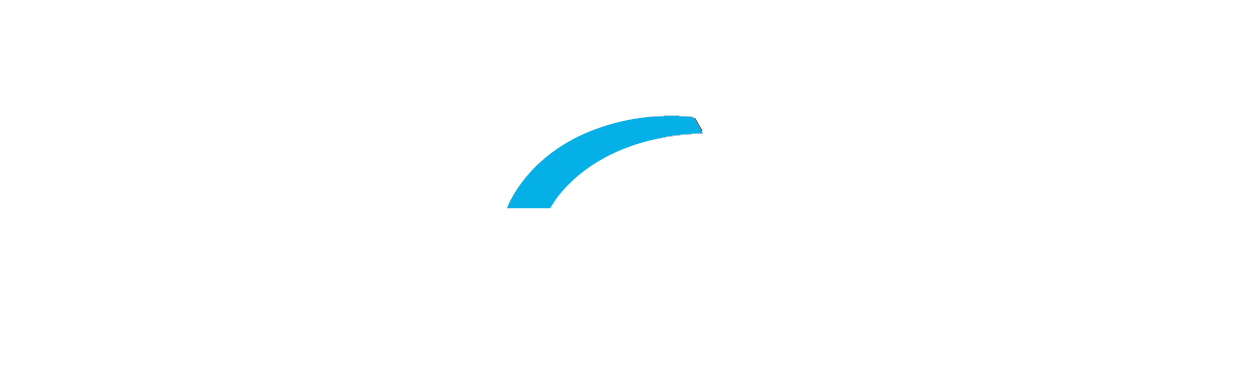 Loyalty Toyota Logo