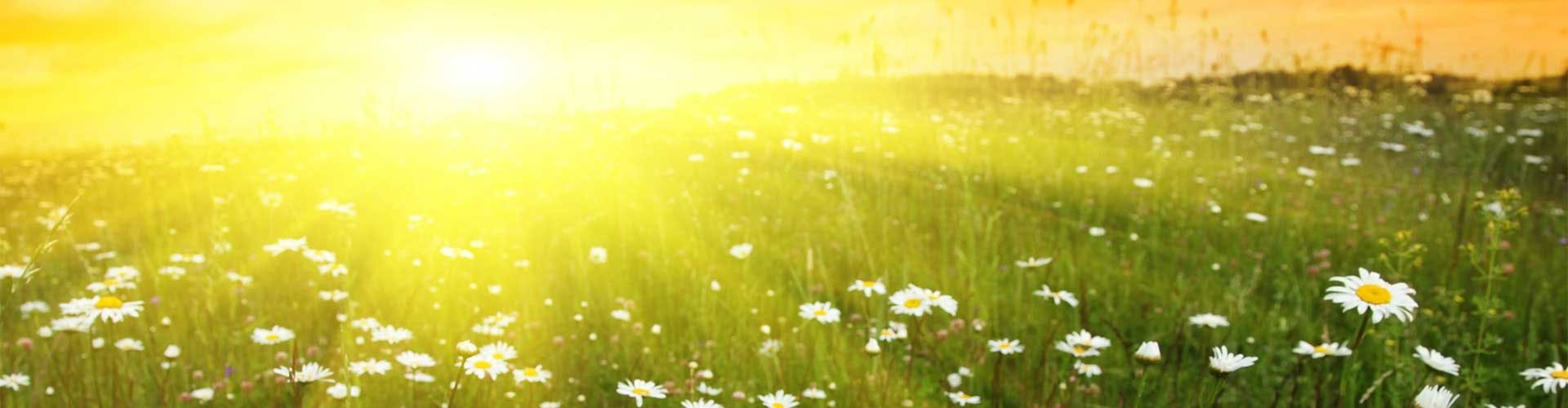 Diehl CDJR of Butler Dodge, Jeep, RAM and Chrysler