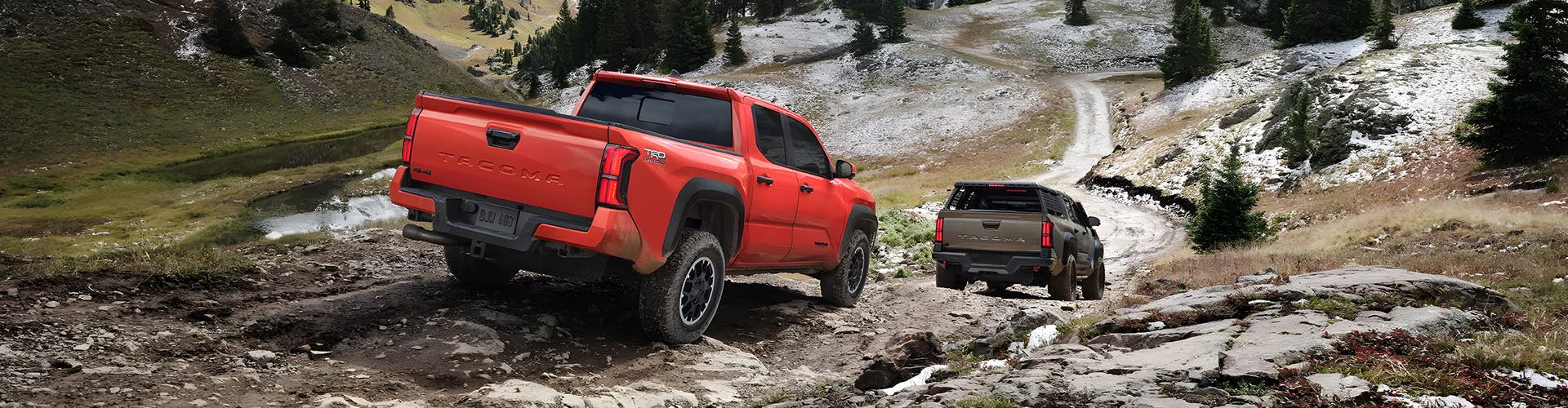 Blue and Gray Tacoma