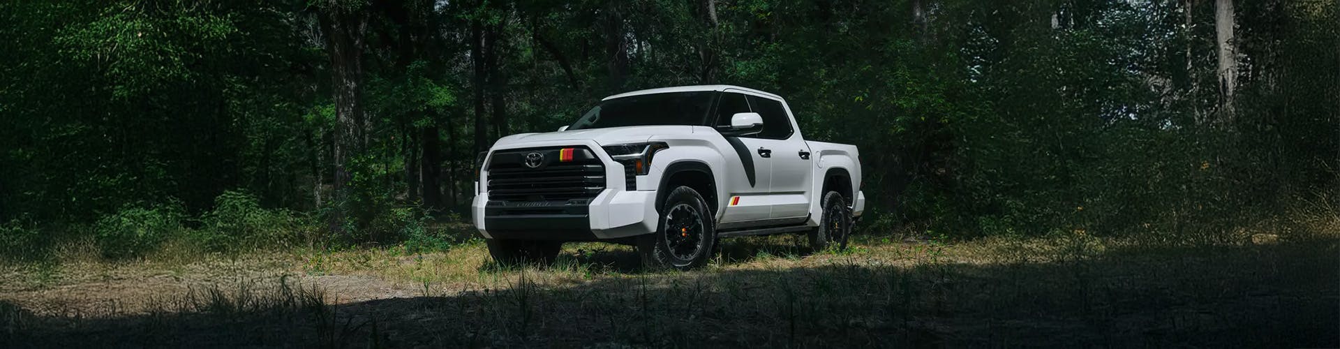 tundra-1-min White Toyota Tundra in the woods