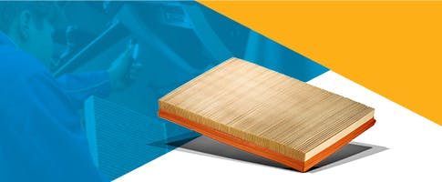 Diehl VW Air Filter