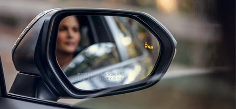 blind spot monitor with rear cross-traffic alert