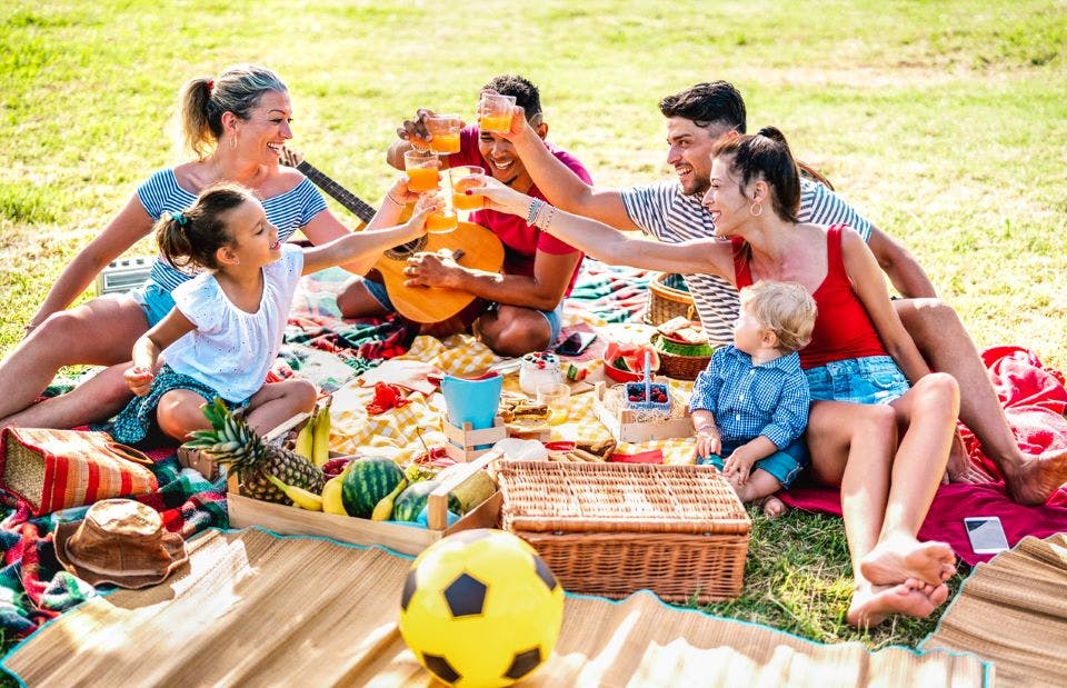 Family having a picnic