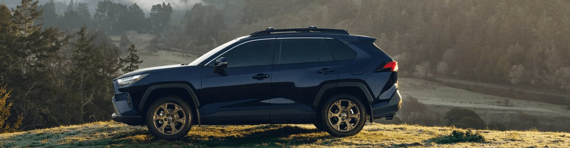 Blue Toyota RAV4 SUV parked in grass overlooking valley