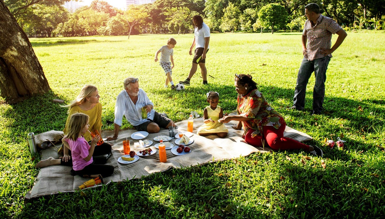 Family Picnic Outdoors