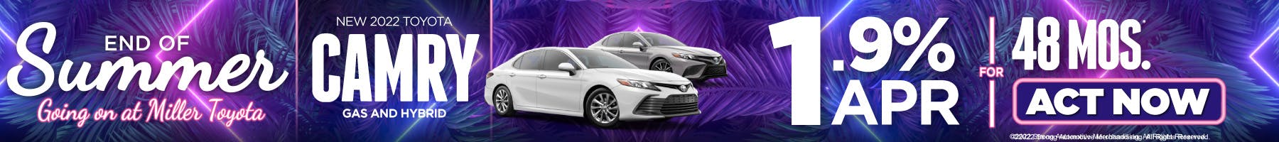 End of Summer – Camry