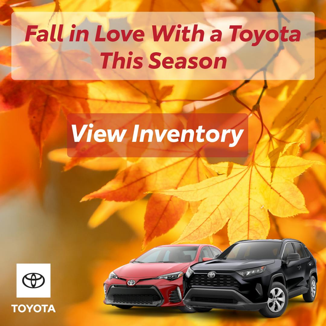 Fall in Love With a Toyota