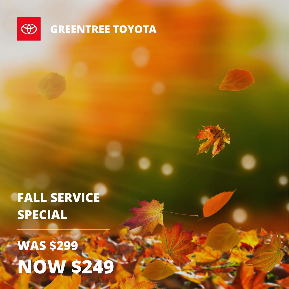 Fall Service Special | Greentree Toyota