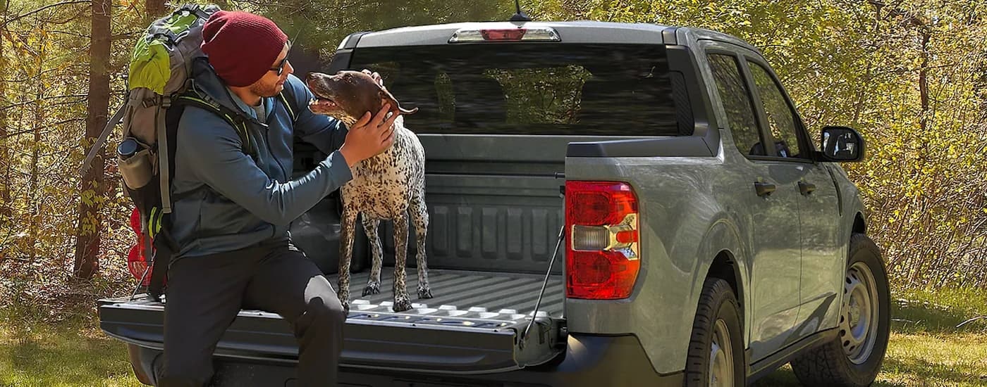 A person petting a dog is shown in the bed of a green 2023 Ford Escape after leaving a Ford dealer in Westminster, VT.