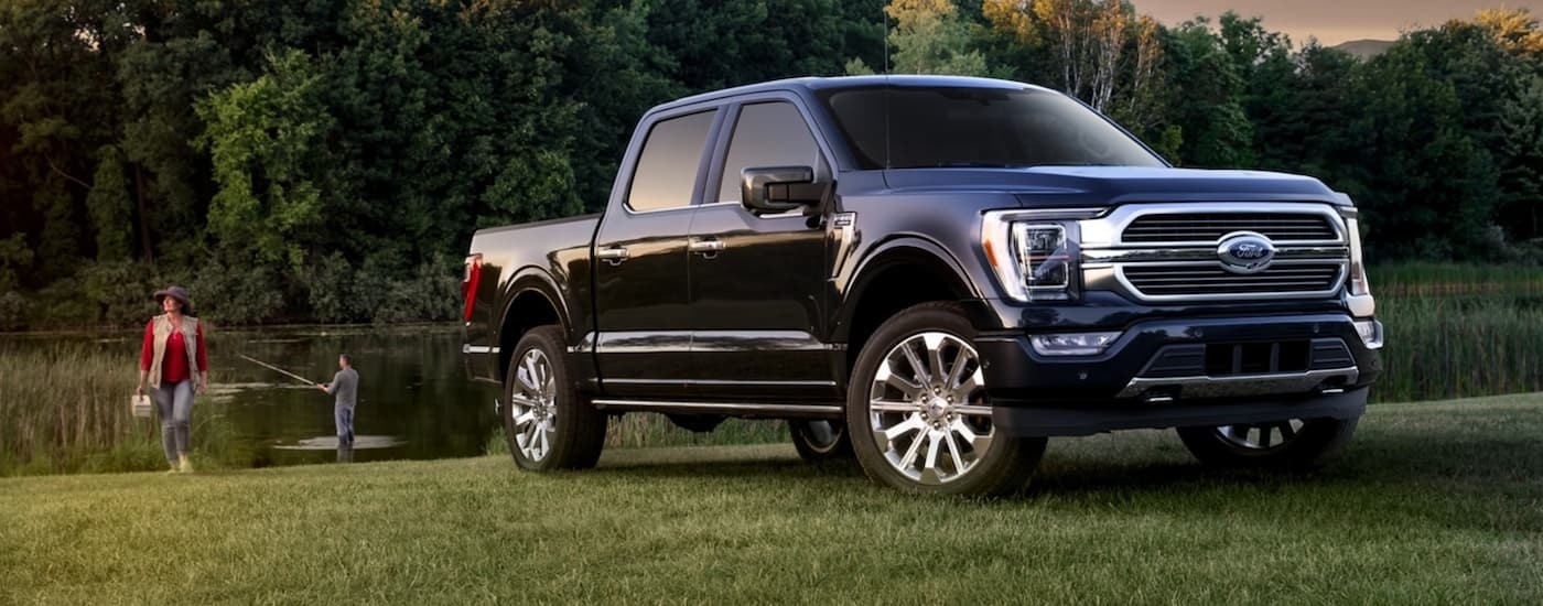 A black 2021 Ford F-150 is shown parked on grass next to a small pond.