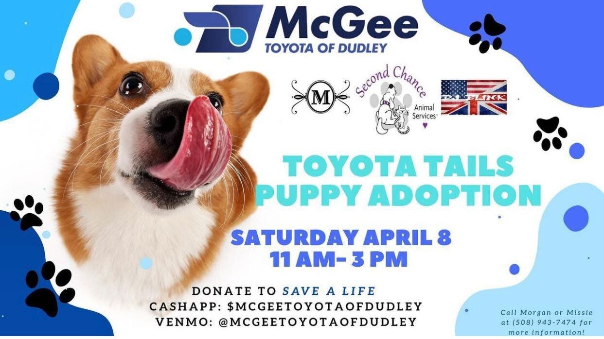 Toyota Tails Puppy Adoption Event Flyer