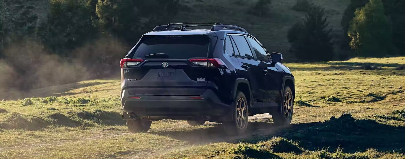A black 2023 Toyota RAV4 Woodland Edition is shown from a rear angle driving on a grassy dirt road.