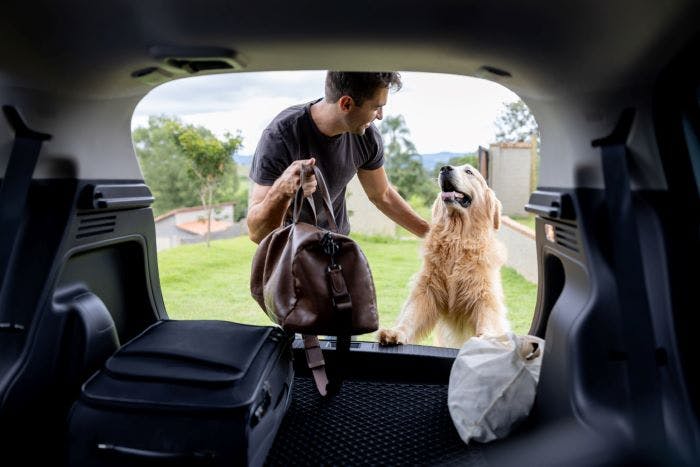 A man places his luggage in the cargo area of his SUV and pets his golden tetriever