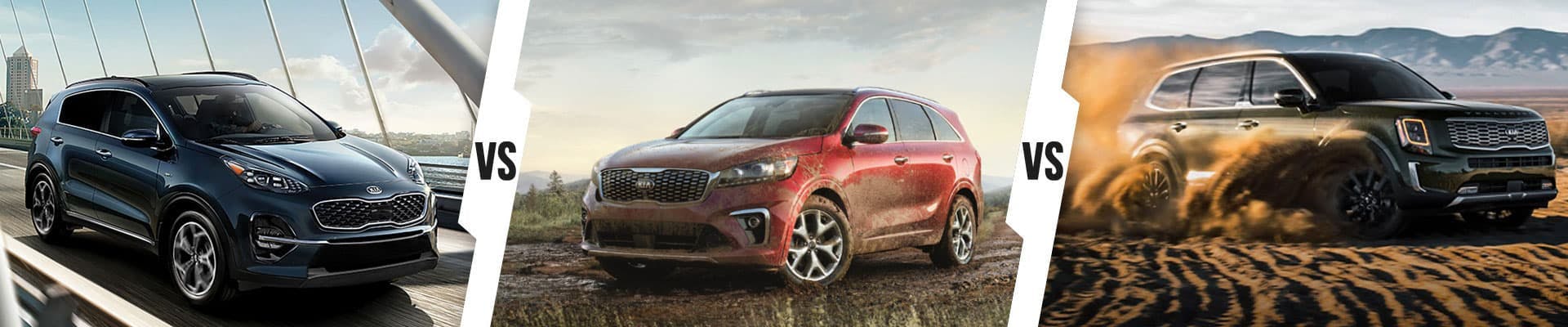 Kia blue kia sportage vs. kia carnival vs. kia telluride graphics