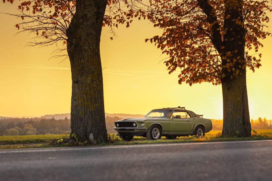 muscle cars2 Green muscle car parked between 2 trees in front of a field