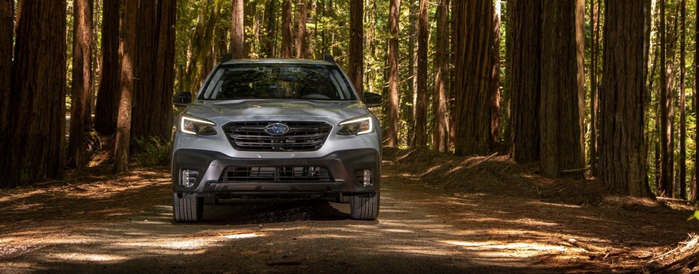 A silver 2022 Subaru Outback Onyx Edition is shown on a trail in the woods after looking for a used Subaru SUV for sale.