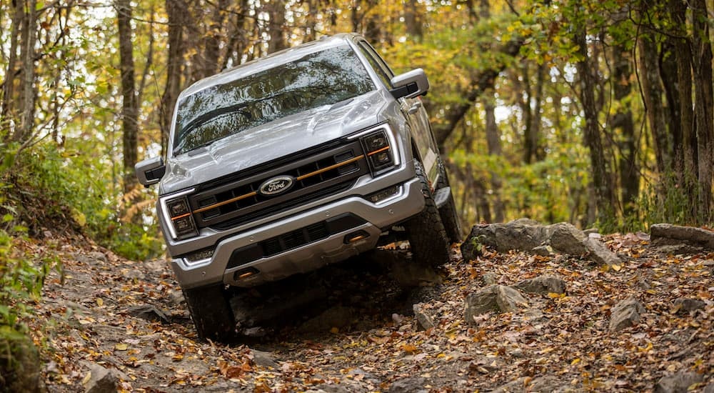 A silver 2023 Ford F-150 Tremor is shown from the front at an angle after leaving a dealer that has a Ford F-150 for sale.