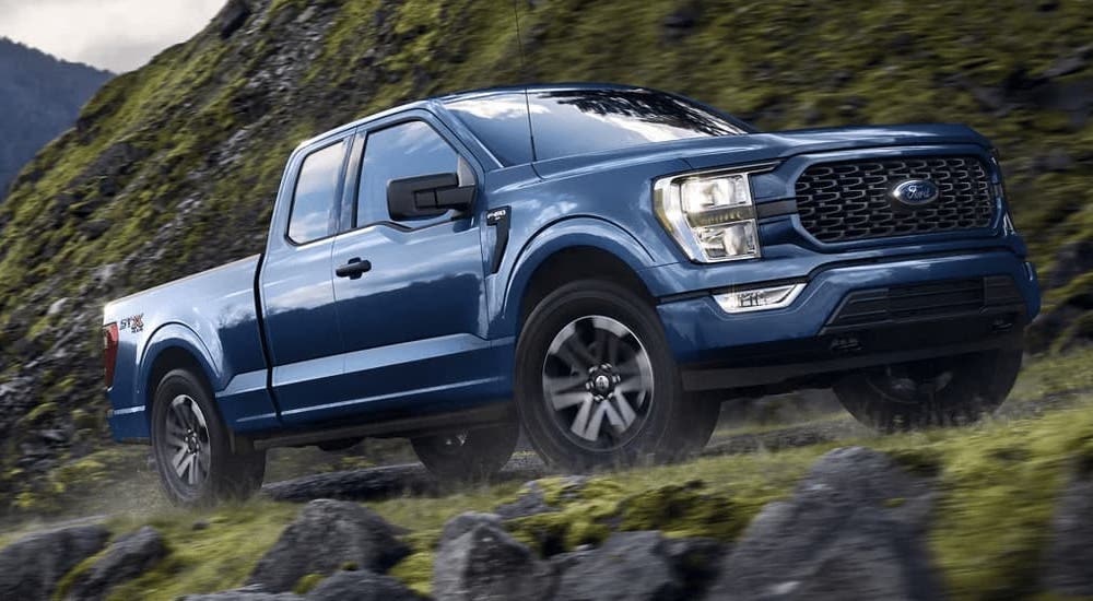 A blue 2023 Ford F-150 XL STX is shown from the front at an angle.