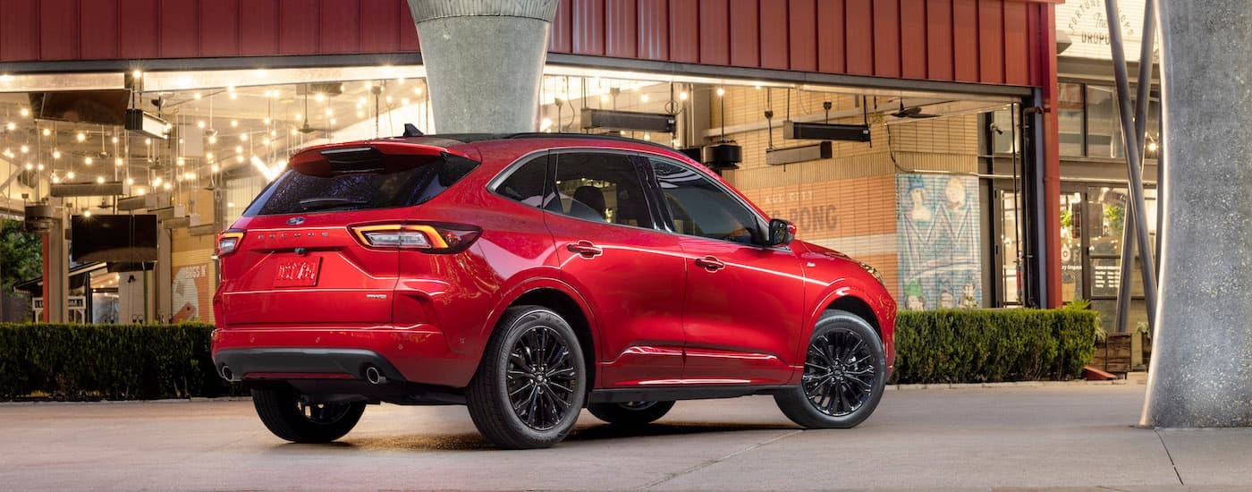 A red 2023 Ford Escape ST Line is shown from the rear at an angle.