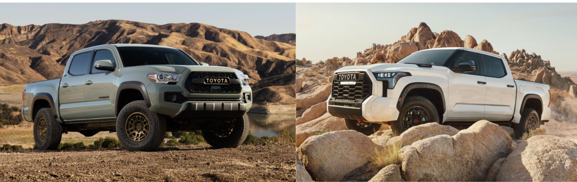 Choosing Between The 2024 Toyota Tundra And 2024 Toyota Tacoma | North ...