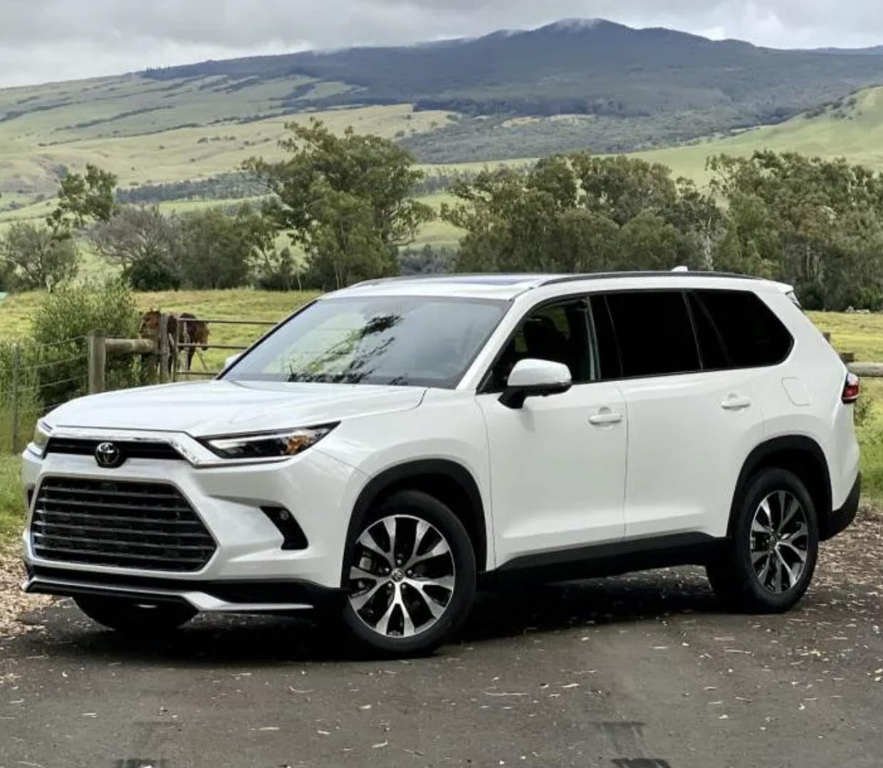 Why It Might Be the Best SUV Yet | Bayside Toyota