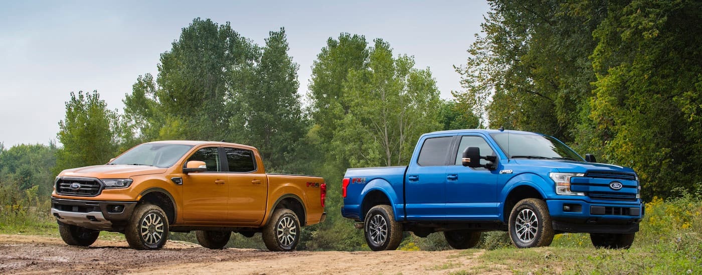 A yellow 2019 Ford Ranger and a blue 2019 Ford F-150 are shown parked off-road.