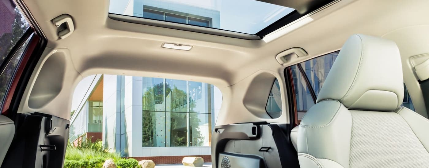 The light tan interior of a 2024 Toyota RAV4 shows the rear cargo and seating area.