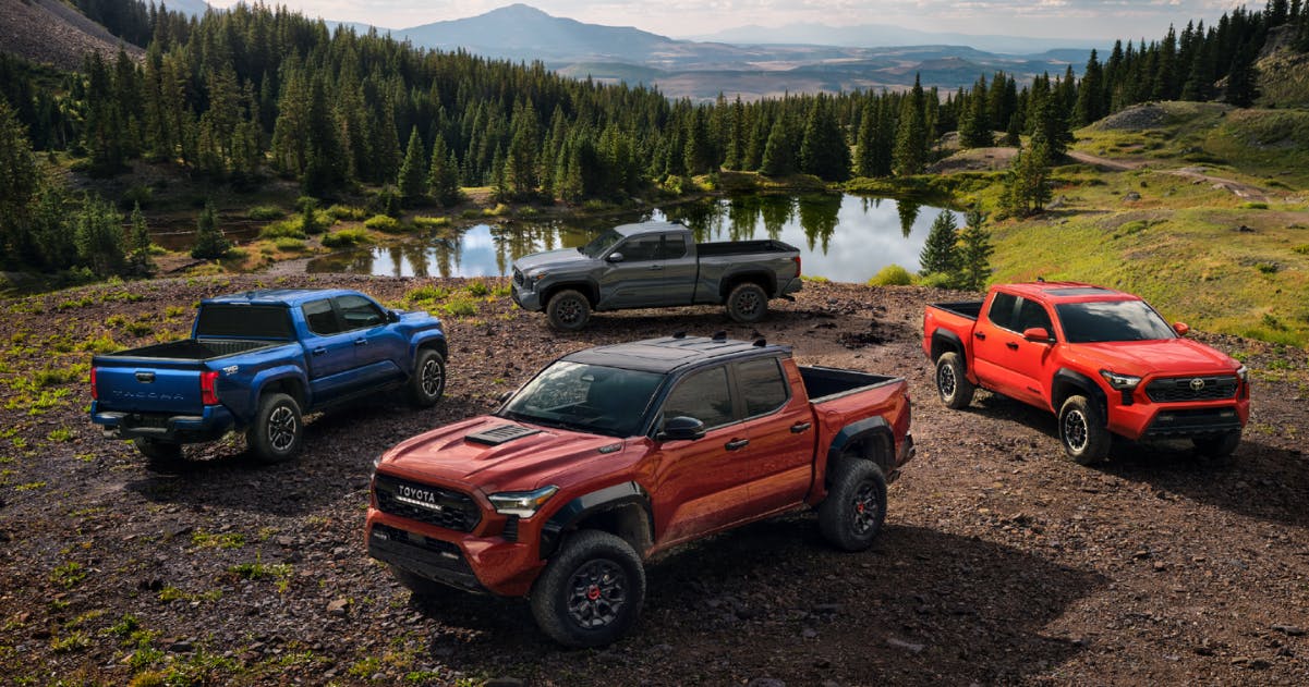 all new Toyota Tacomas lined up off-road