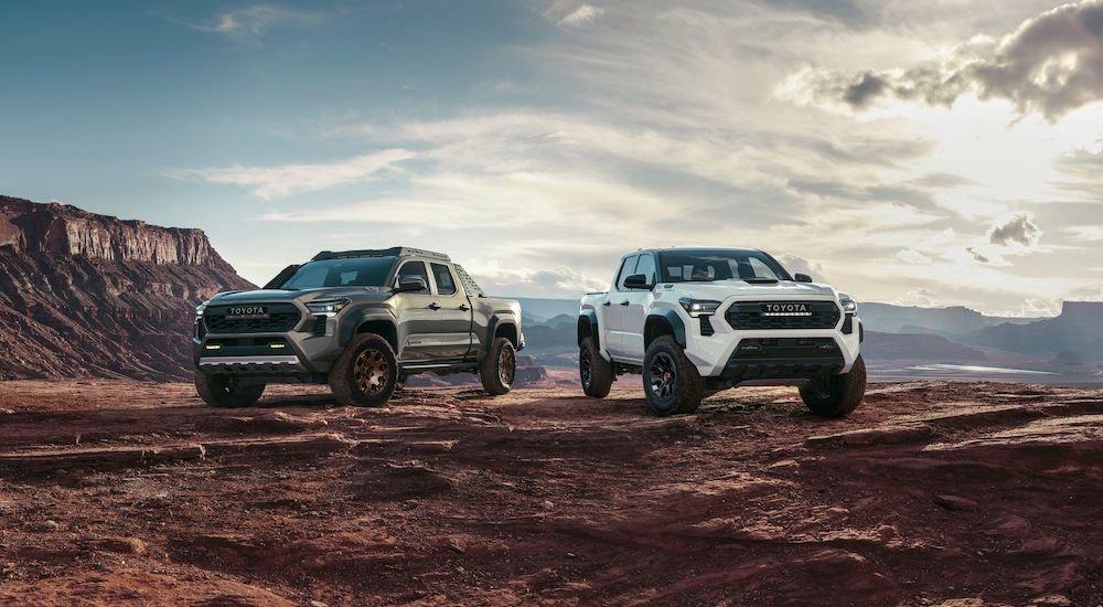 A green 2024 Toyota Tacoma Trailhunter and a white 2024 Toyota Tacoma TRD Pro are shown parked off-road.