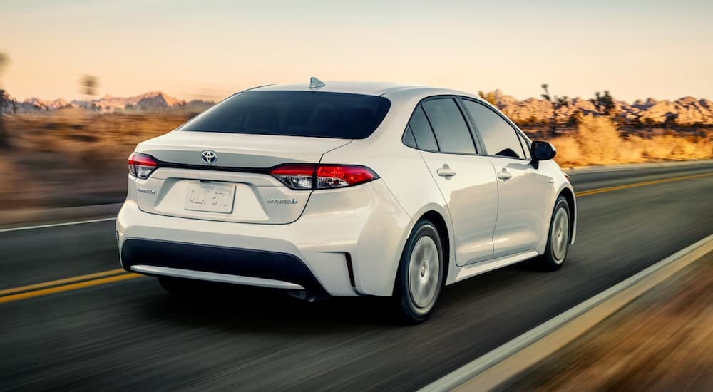 Rear view of a white 2020 Toyota Corolla driving down a highway.