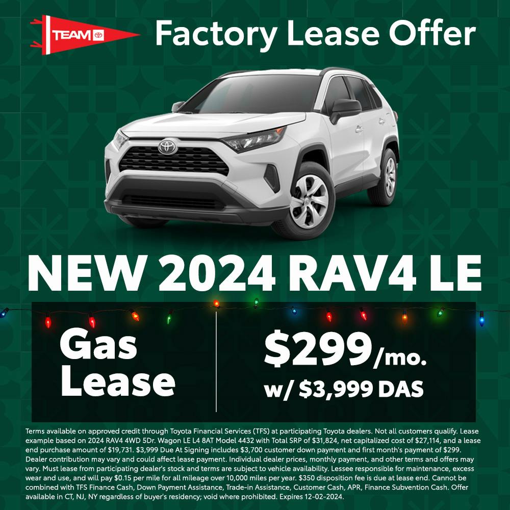 Rav4 LE Factory Special Banner