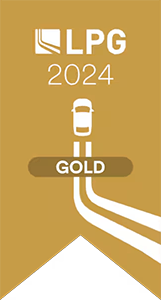 Lithia Partners Group 2024 Gold Award