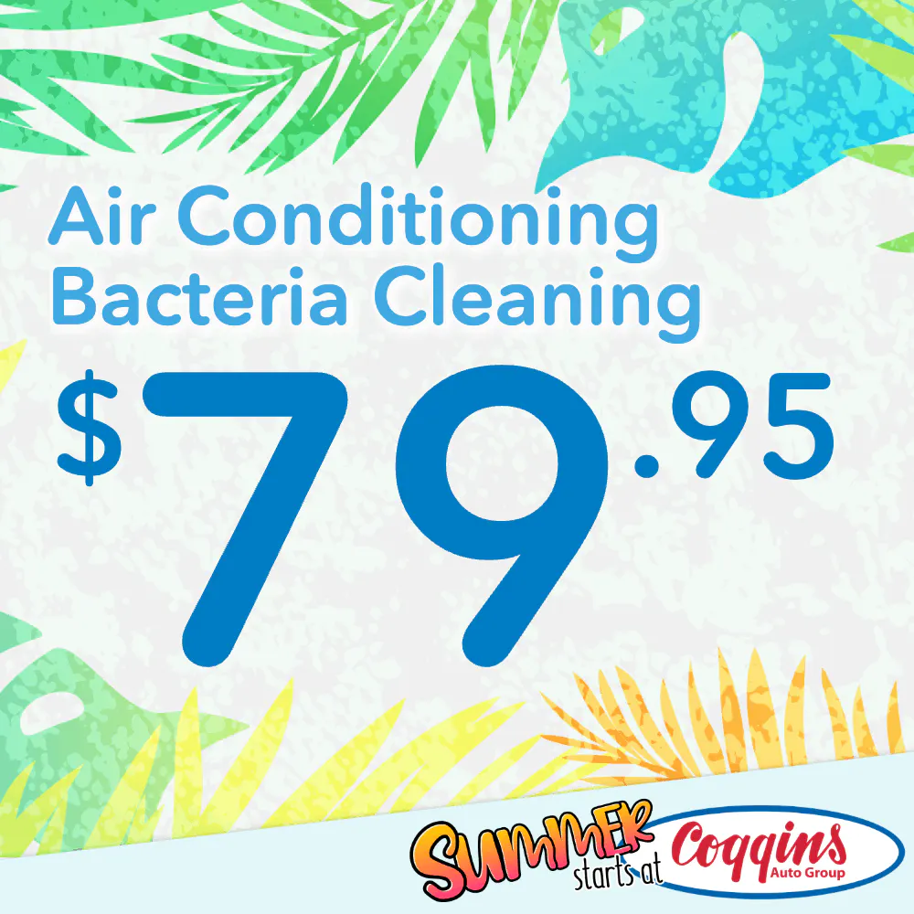 AC Bacteria Clean | Coggins Of The Berkshires
