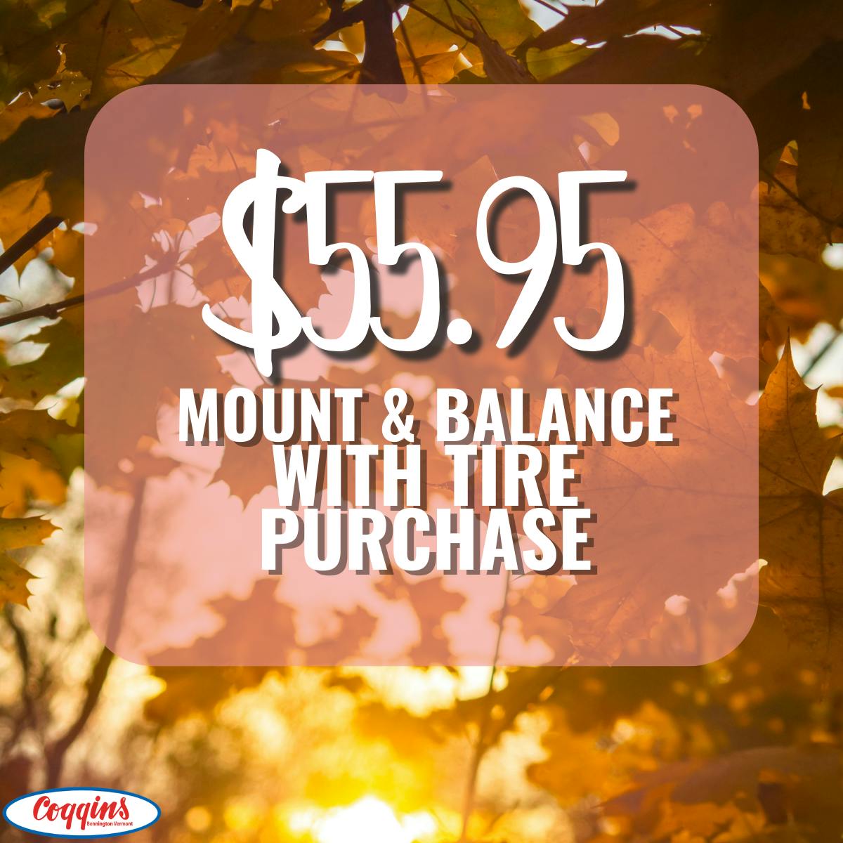 Mount & Balance Special | Coggins Of The Berkshires