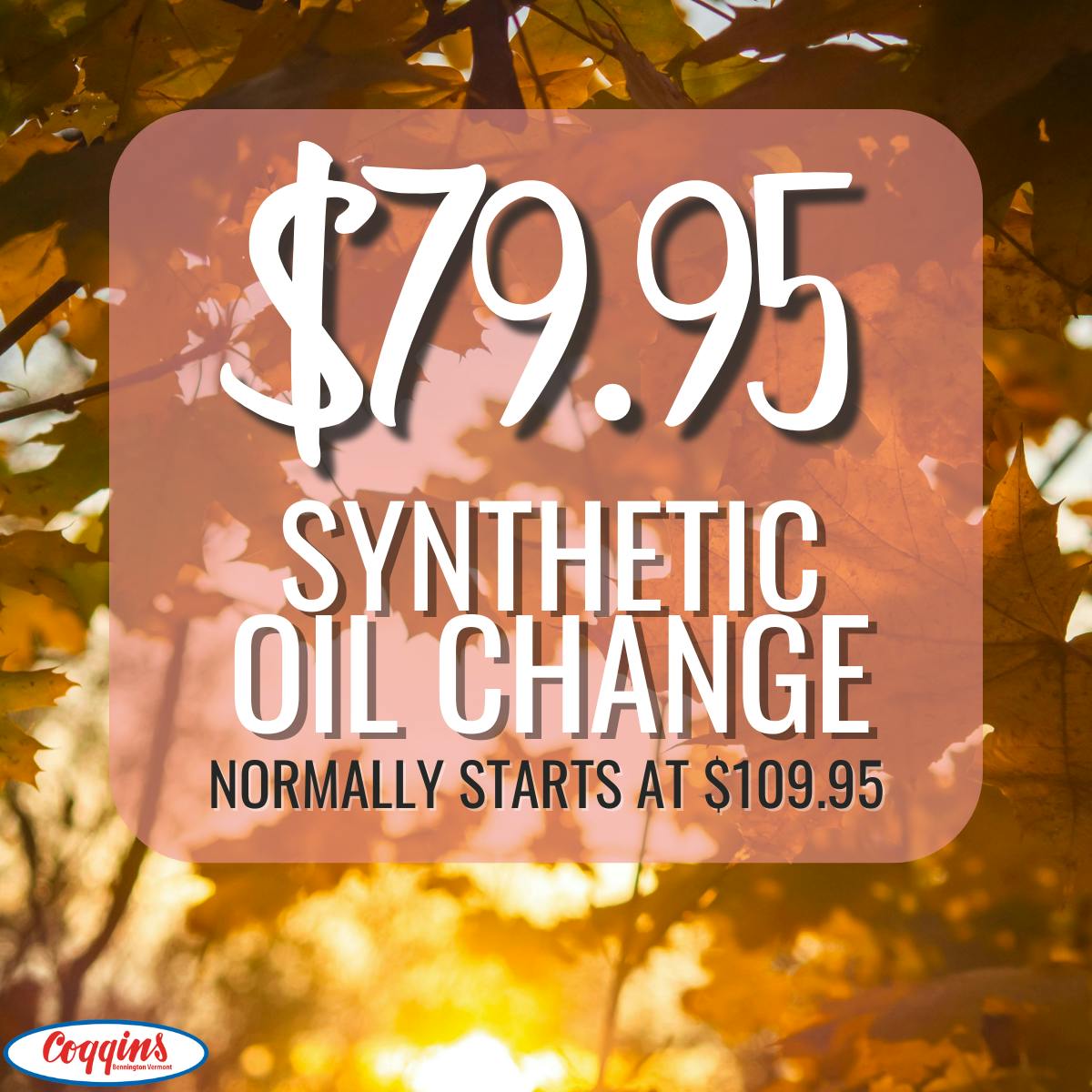 Synthetic Oil Change Special | Coggins Of The Berkshires