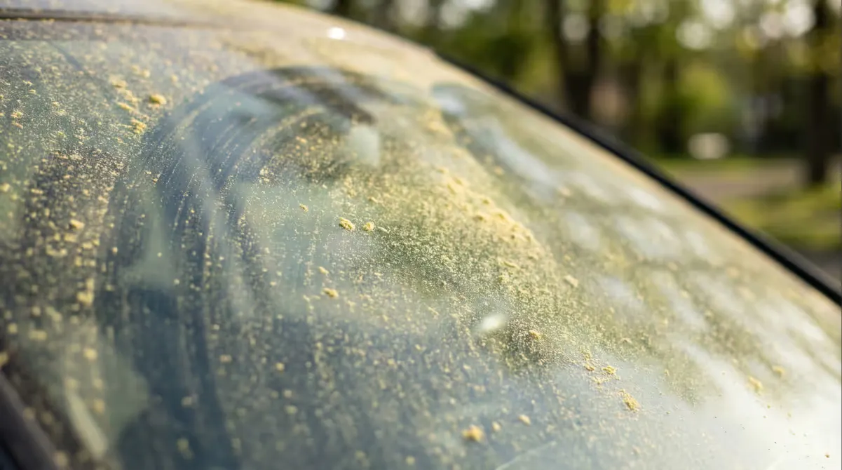 dusty windshield