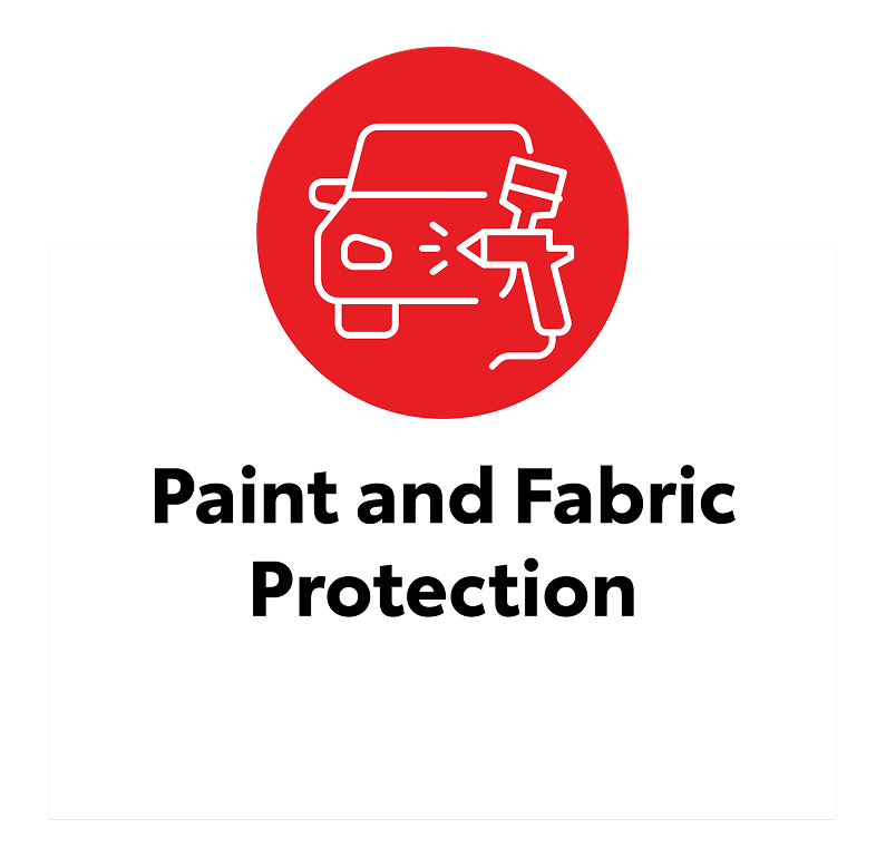 Paint and Fabric Protection