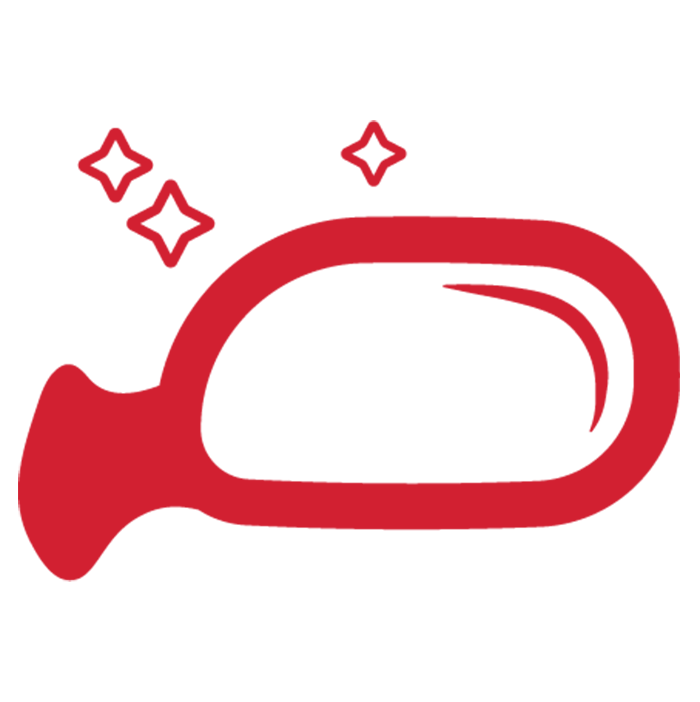 Xpel Mirror protection