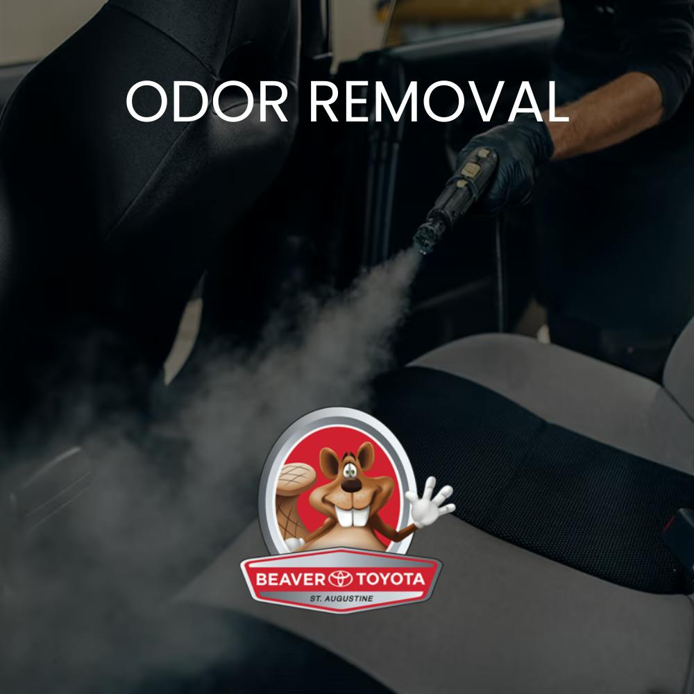 Odor Removal | Beaver Toyota St. Augustine