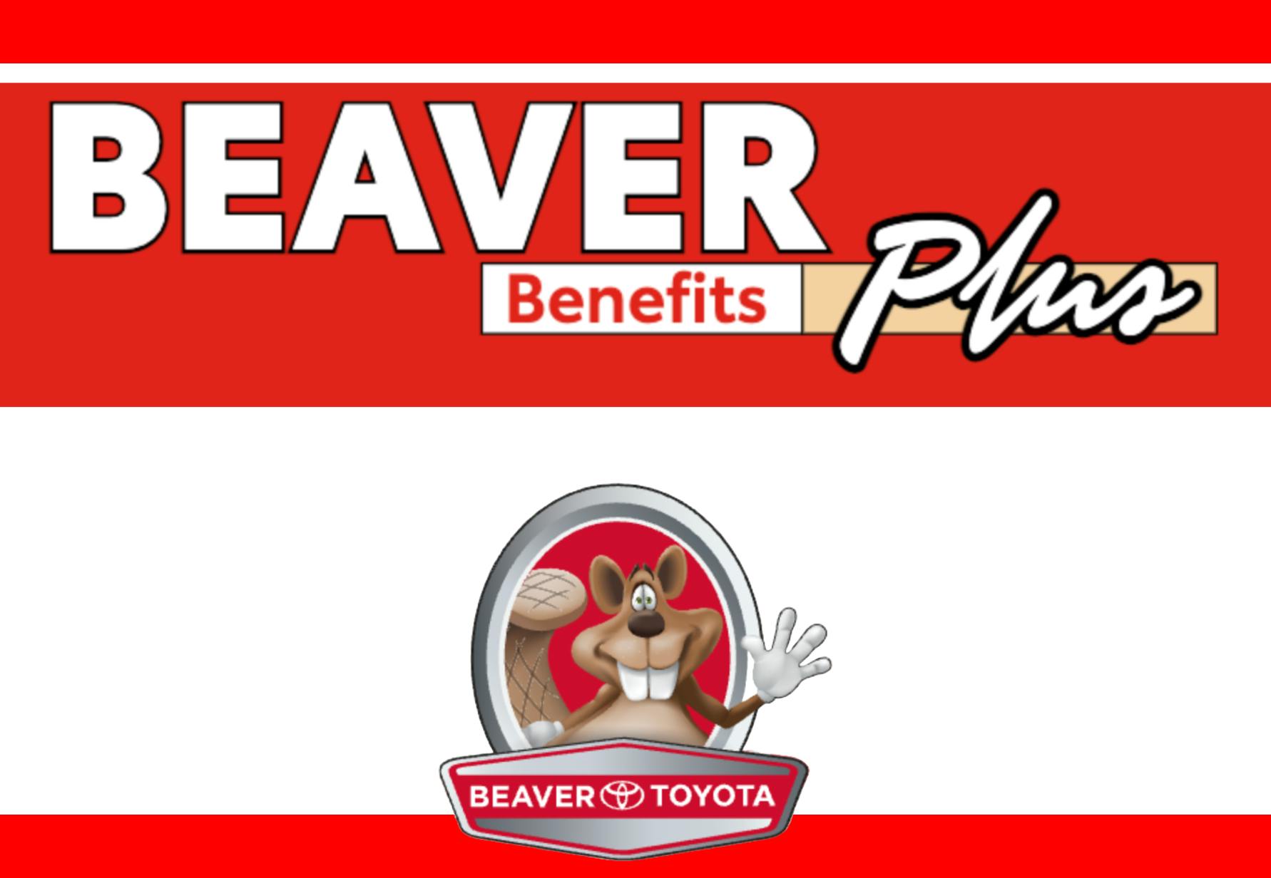 Beaver Logo