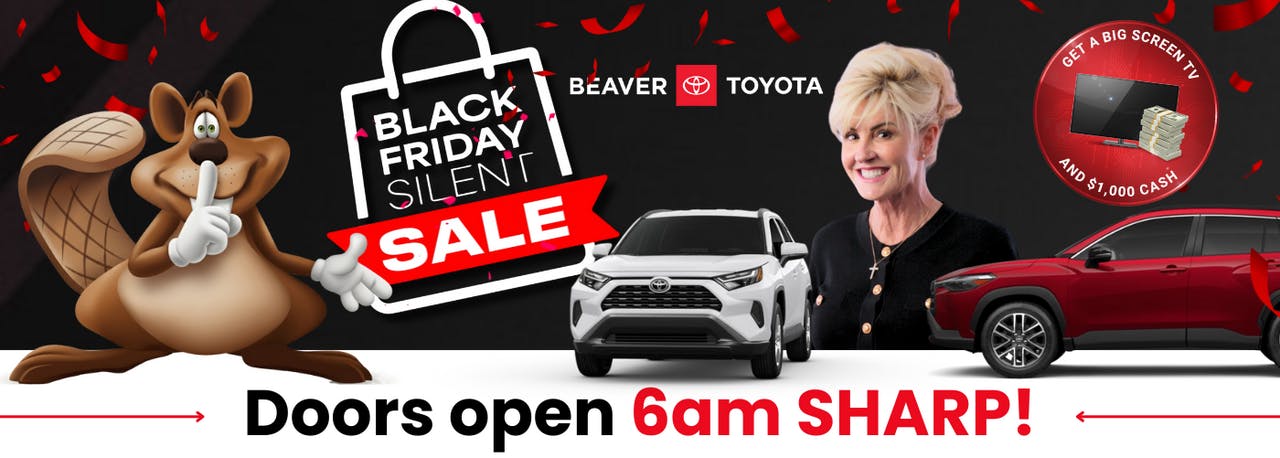 Beaver Black Friday Silent Sale