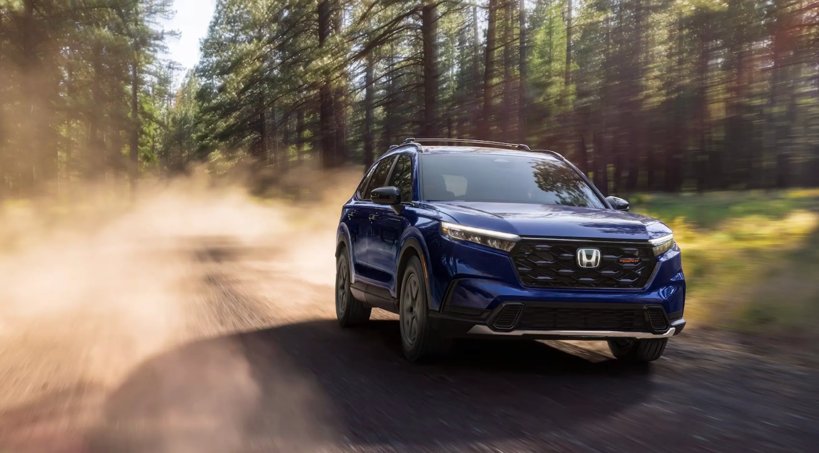 Blue Honda SUV driving along a dusty forest road surrounded by tall pine trees with sunlight filtering through the branches.