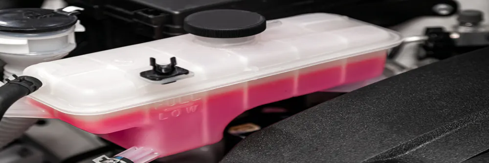 Coolant service for $119.95 | Burlington Kia of NC