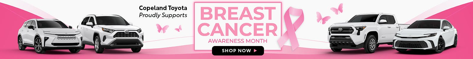 Breast Cancer SRP