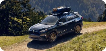 2025 rav 4