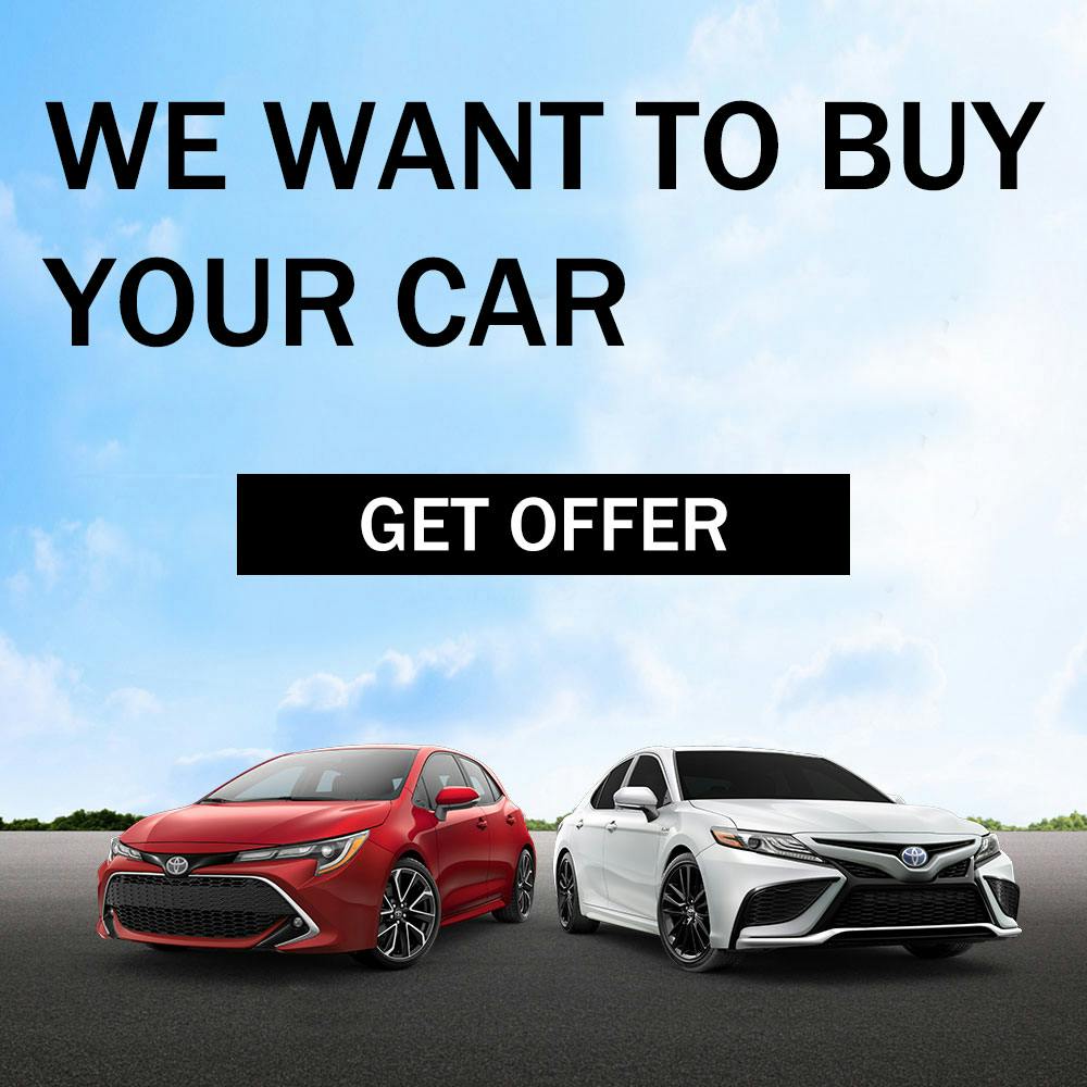 We Want To Buy Your Car