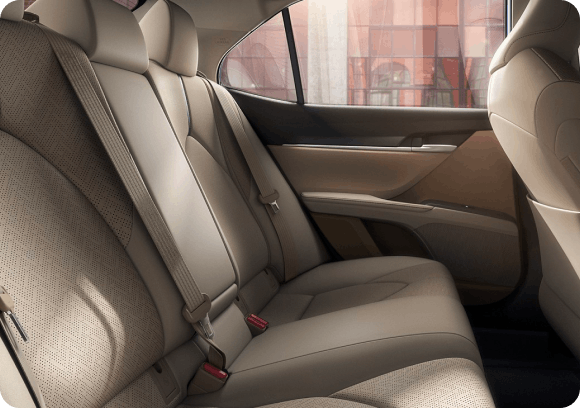 Rear-Seat Vents and Heated/Ventilated