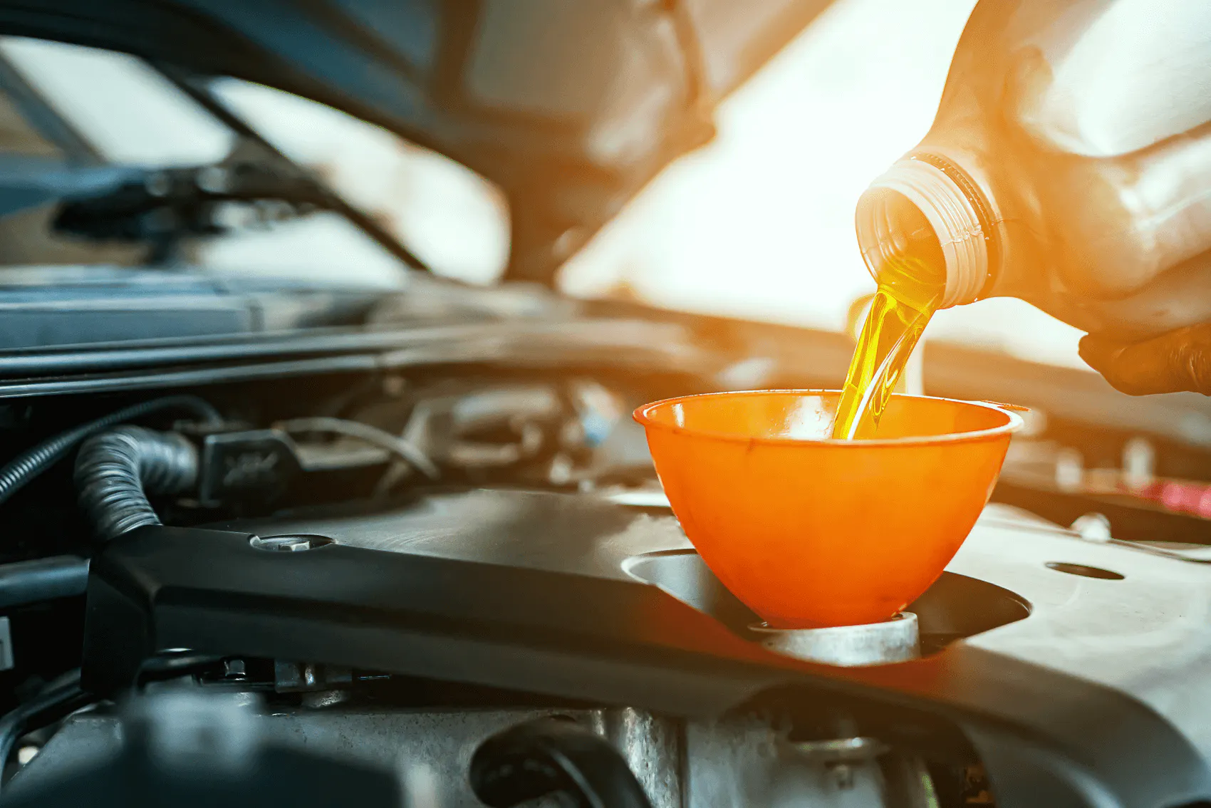 Toyota Oil Change Service Near Me