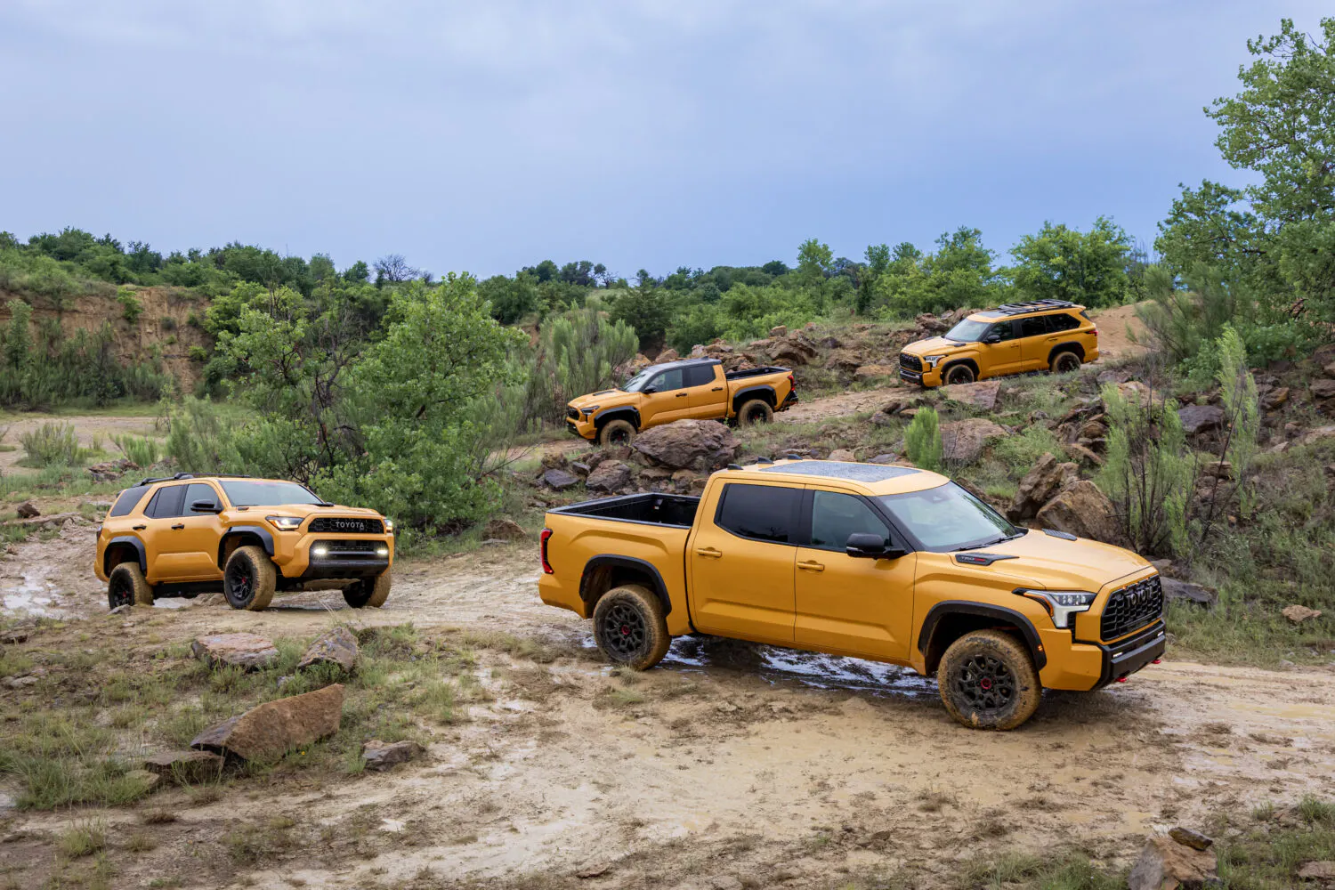 New Honeycomb and Hot Honey Colors for TRD Pro Models