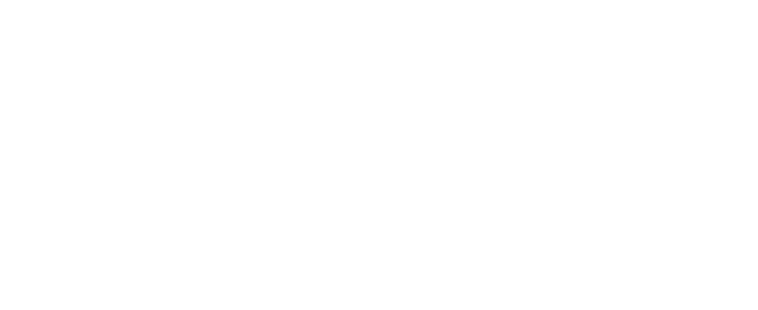 Full DIEHL Automotive_Logo_White